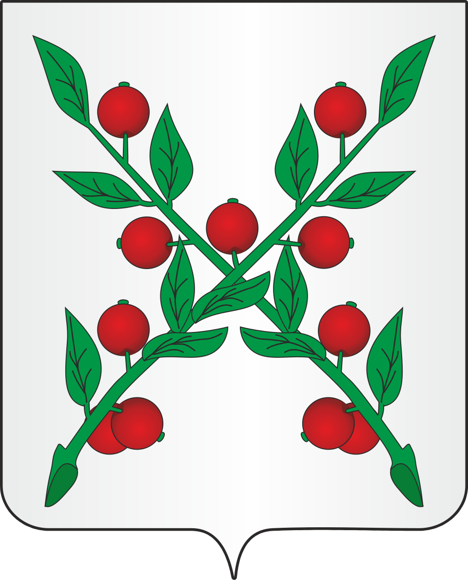 Герб Чаплыгина